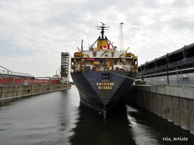 Bateau Sauniere quais.jpg