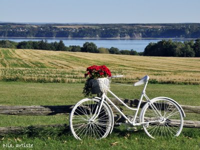 Ile d Orlean Bicyclette.jpg