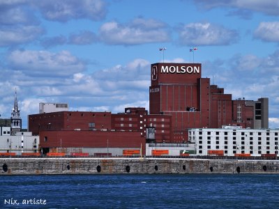 Montreal Molson