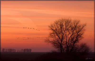 Merced Sunrise