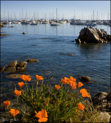 Fisherman's Wharf in Monterey