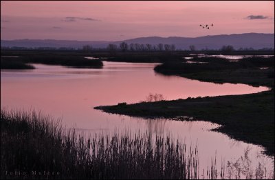 Sunset at the Merced NWR