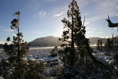 Landscape