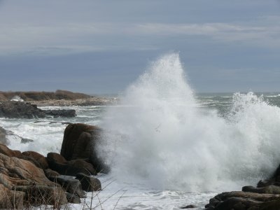 Surf 2 hi res