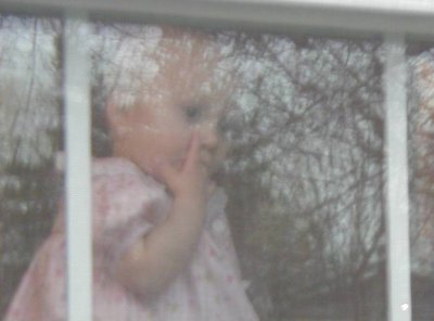 Looking Outside 