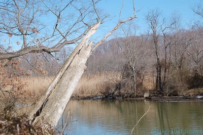 DSC51533.jpg