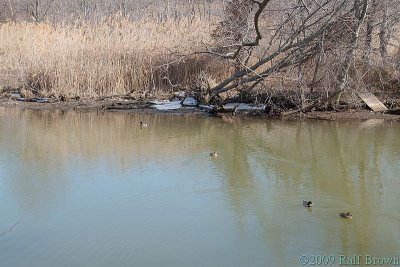 DSC51540.jpg