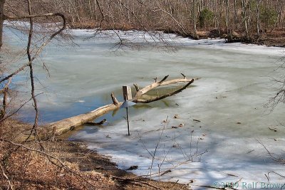 DSC51562.jpg