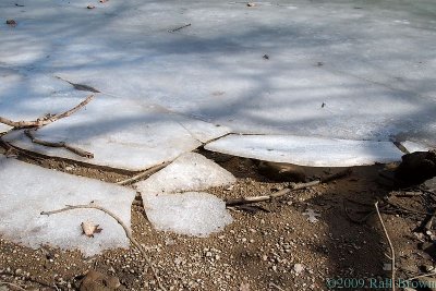 DSC51573.jpg