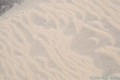 Micro-dunes: wind-blown light sand on packed darker sand