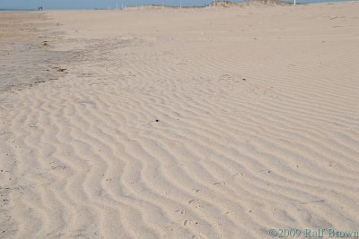 Ripples