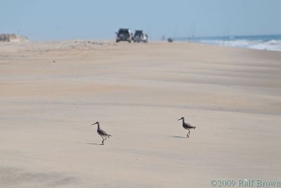 DSC54395.jpg