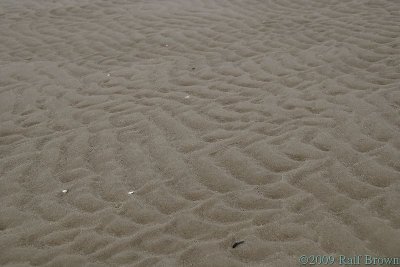 Ripples in the sand