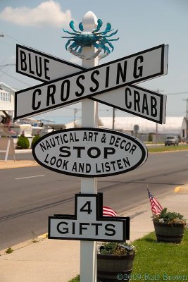 Blue Crab Crossing
