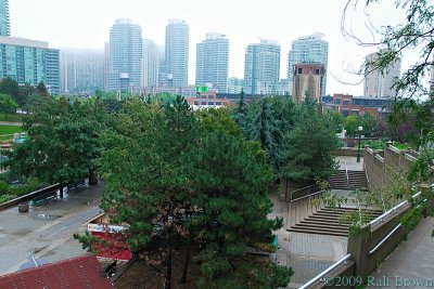 DSC61845.jpg