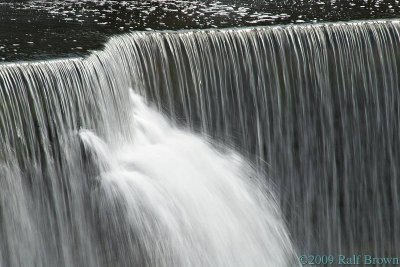 DSC62500.jpg