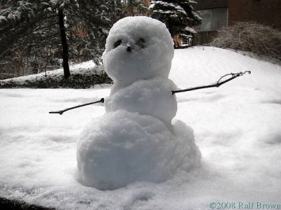 2008-02-13 Snowman