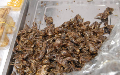 Fried Mountain Sparrows 5913.jpg