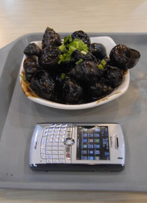 Giant Snails Braised in Soy Sauce 6255.jpg
