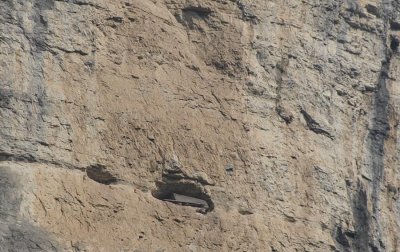 Cliffside Coffin 6783.jpg