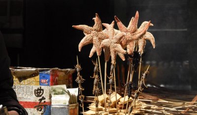 Starfish Snacks 7893.jpg