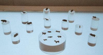 Jade Han (Funerary Pieces) 6469.jpg