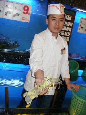 Pissing (Mantis) Shrimp 撒尿蝦 before the weigh in 1912.jpg