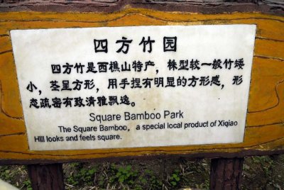 Square Bamboo Park 7994.jpg