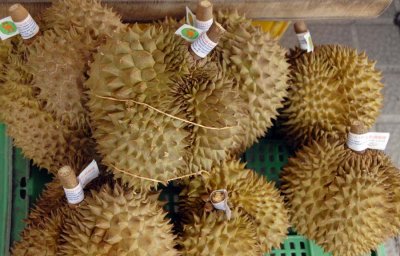 Durian - Love it or Hate it!  8401.jpg