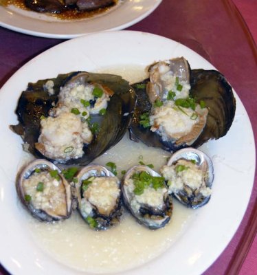 Steamed Abalone  and Scallops with Sweet Garlic  清蒸鲍鱼扇贝 8496.jpg