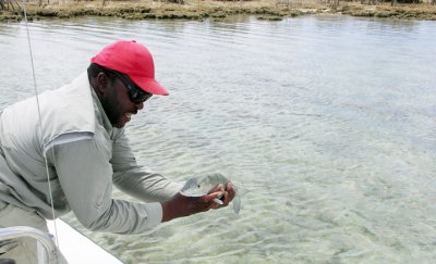 Nice Bonefish to be Released 028
