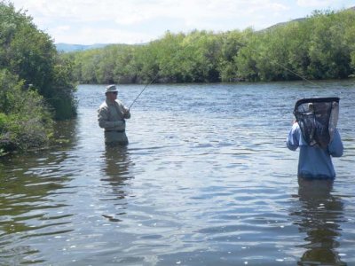 Franks a nice trout 036.jpg