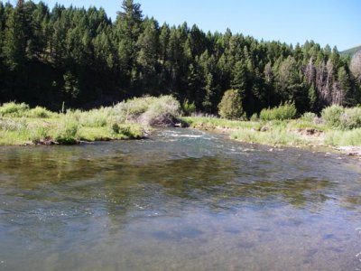 Ruby River 2352.jpg