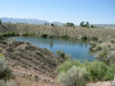 Old Gold Mine Pit filled with large trout 2380.jpg