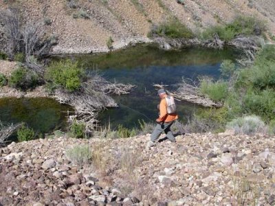 Lee lands a large trout 2382.jpg