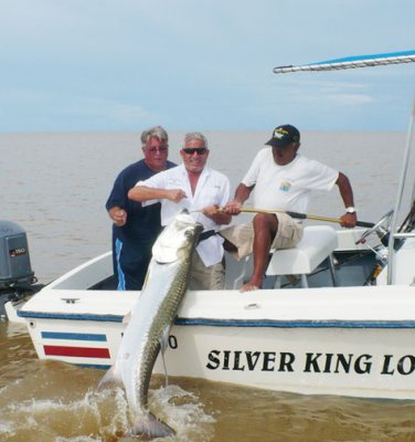 Dominic's Baby Tarpon, 14 lbs 3 oz 40217.jpg