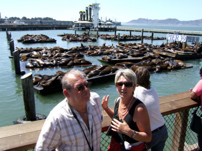 San Francisco - the seals at Pier 39 - They stink!