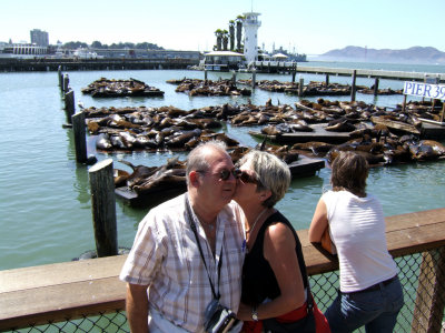 San Francisco - the seals at Pier 39