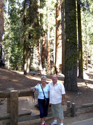 Sequoia - Along the path to the General Sherman.jpg