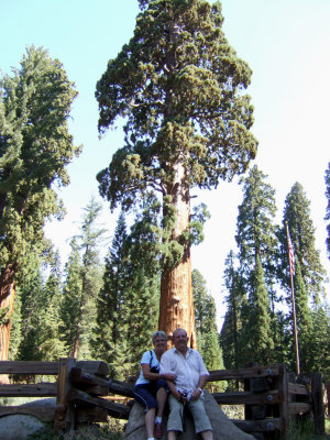Sequoia - Jojo et Maryse.jpg