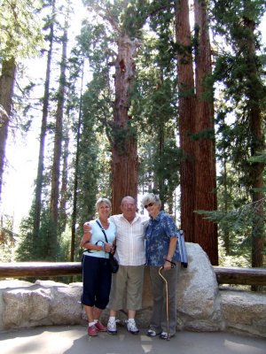 Sequoia - Maryse, Jojo et Rill
