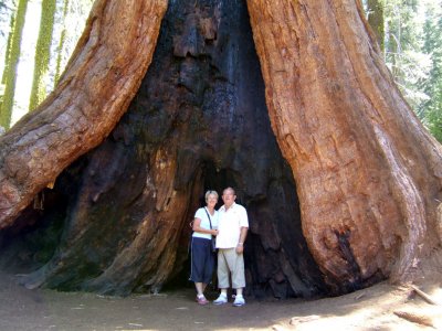 Sequoia - Maryse et Jojo.jpg