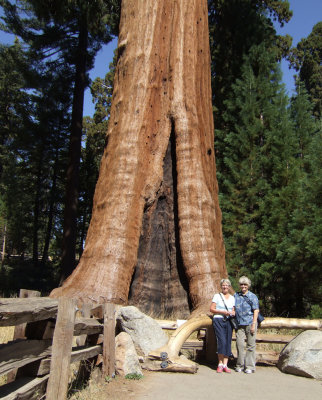 Sequoia - Maryse et Rill.jpg