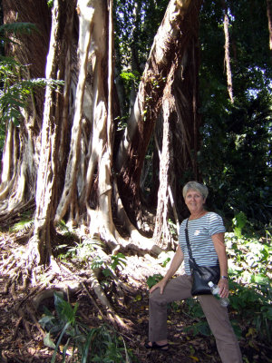 Huntington Gardens - Maryse.jpg
