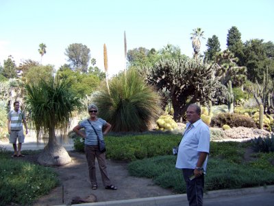 Huntington Gardens - Desert Garden2.jpg
