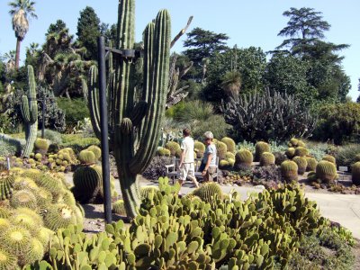 Huntington Gardens - Desert Garden3.jpg