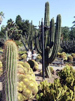 Huntington Gardens - Desert Garden4.jpg