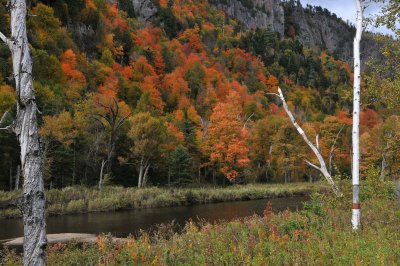 AuSable River West Fork