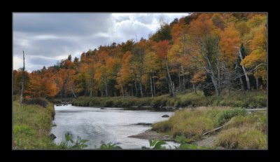 AuSable