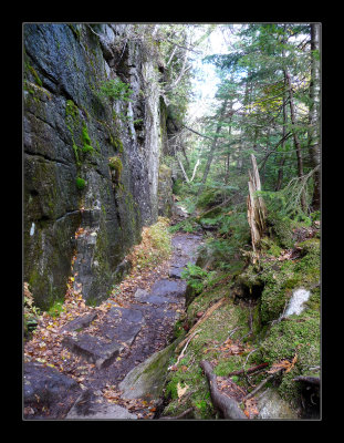 Avalanche Pass